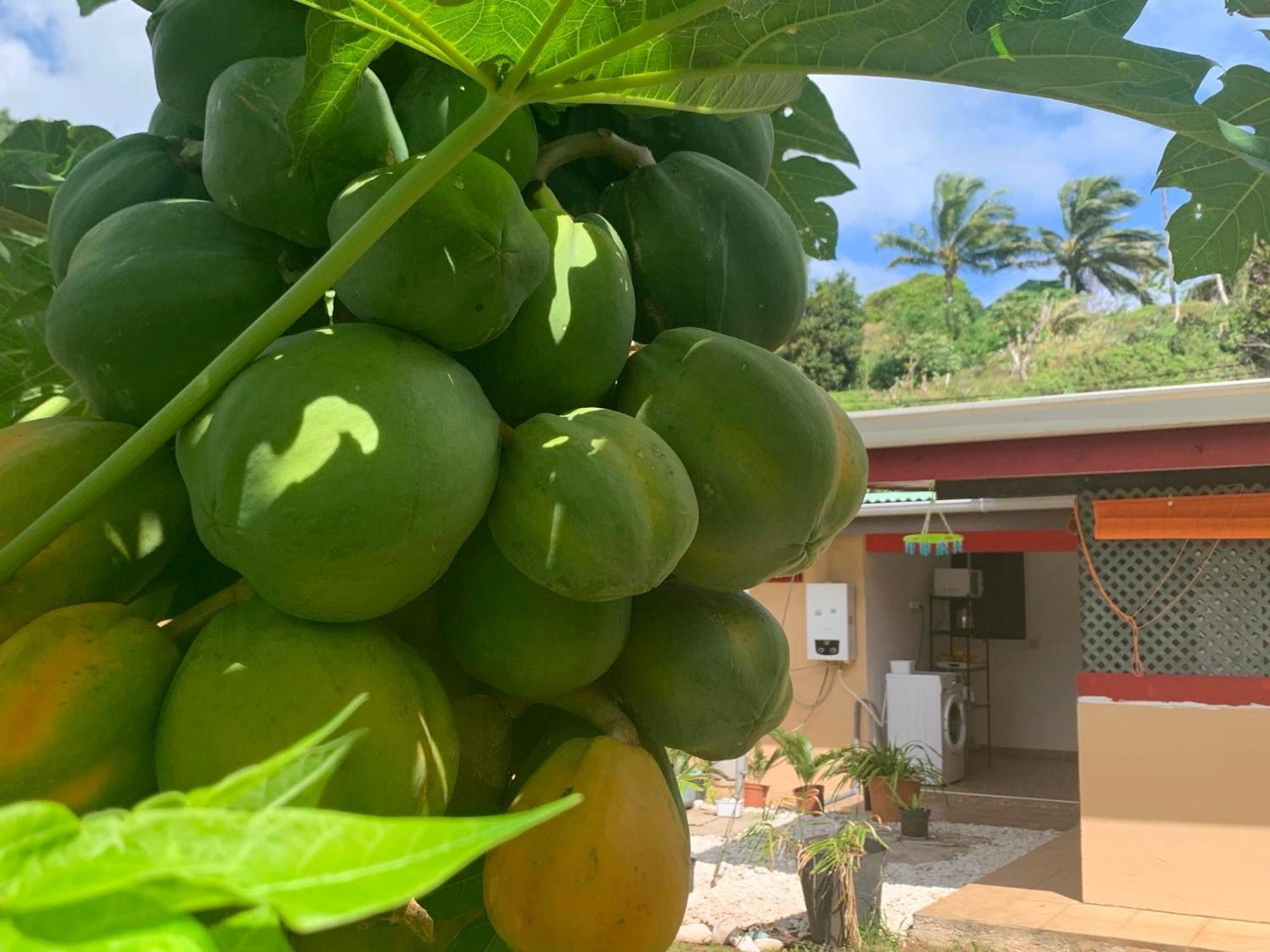 Lemon House Hotell Maroe Exteriör bild